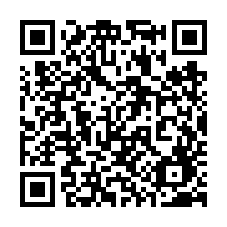 QR code for plate 313 VUF