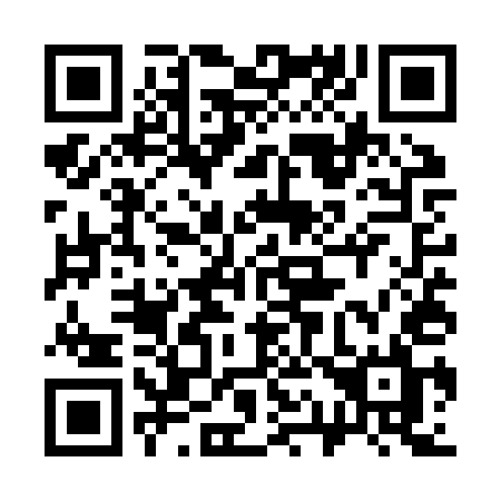 QR code for 315 ZUL