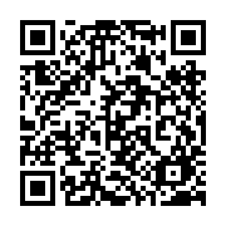 QR code for plate 315 BIG