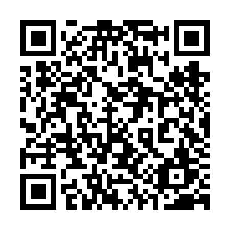QR code for plate 316 FKV