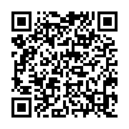 QR code for 317 HNK