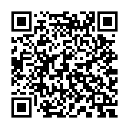 QR code for 317 PXA