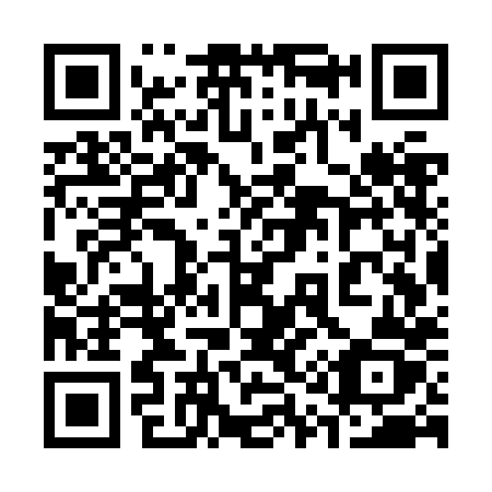 QR code for 317 ZHZ