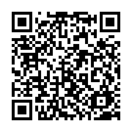 QR code for 317ISG
