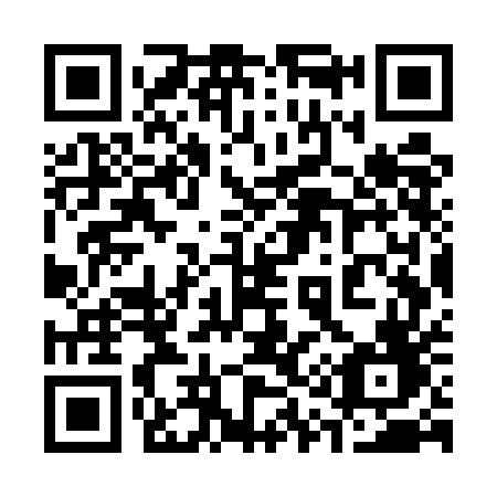 QR code for plate 317 UEF