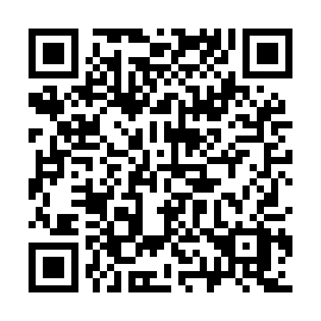 QR code for plate 318 MAX