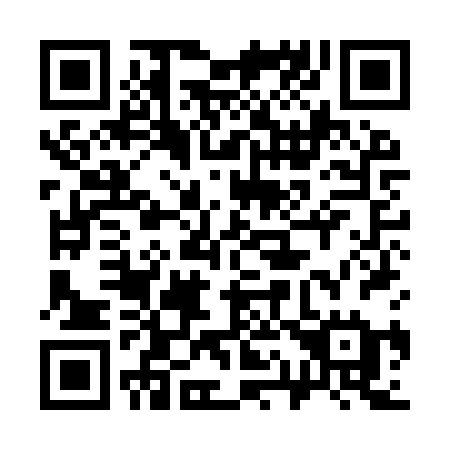 QR code for 319 IRE