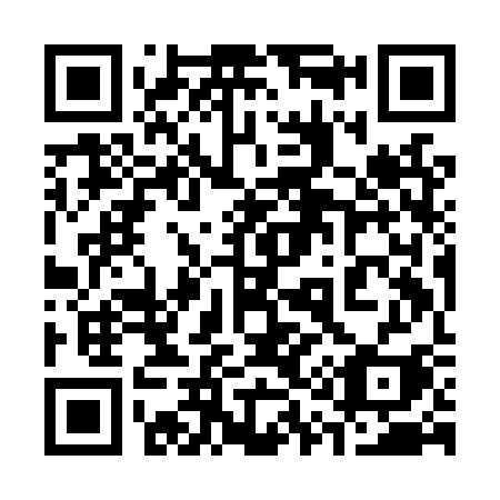 QR code for 319LSI