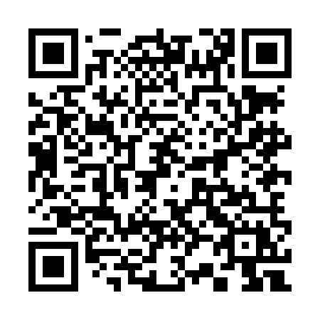 QR code for 328 LMX
