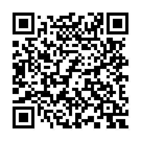 QR code for 328 MYA