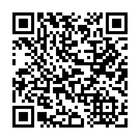 QR code for plate 330 1ML