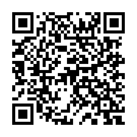 QR code for plate 330 MNE