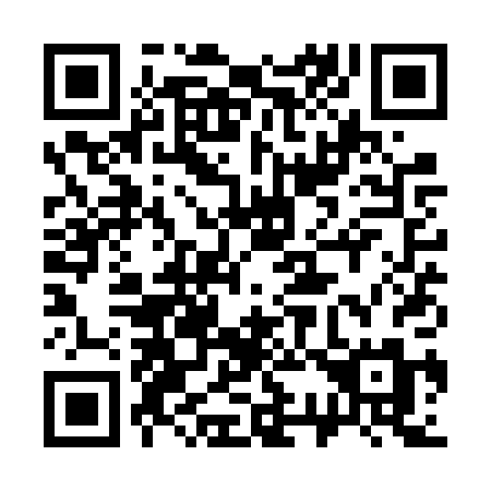 QR code for plate 331 VPM