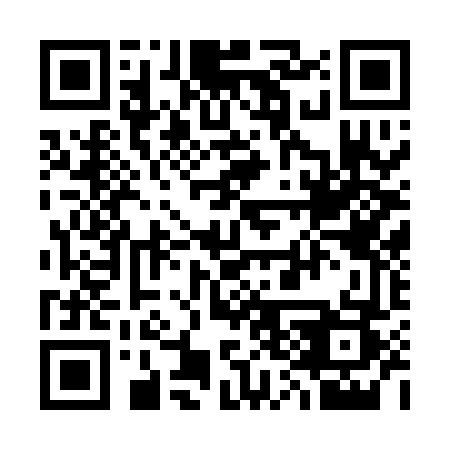 QR code for 333 1DS