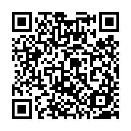 QR code for 333 DTM