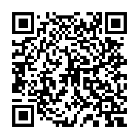 QR code for 333 DXL