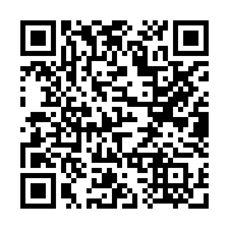QR code for 333 XLS