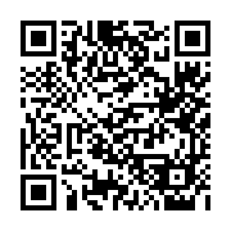 QR code for 3336FN