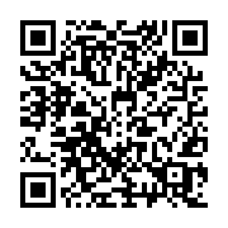 QR code for plate 333 AUB