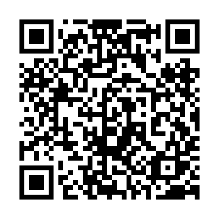 QR code for 333BIS