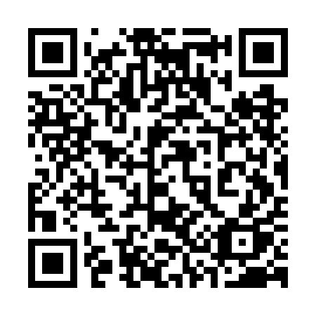 QR code for plate 333 GAP