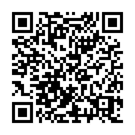 QR code for 333LKR