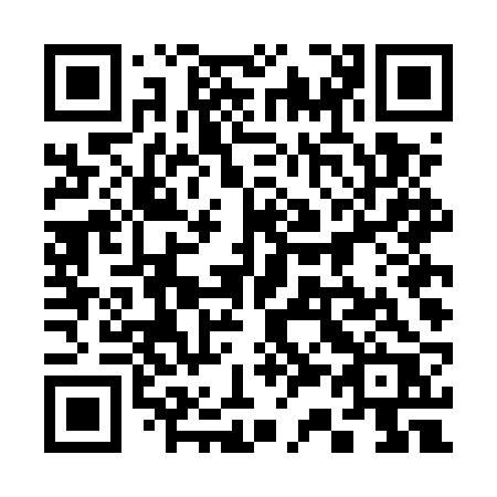 QR code for plate 334 ERR