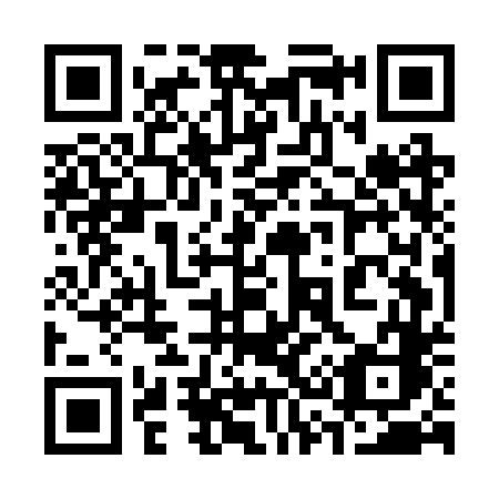 QR code for 335 BTC