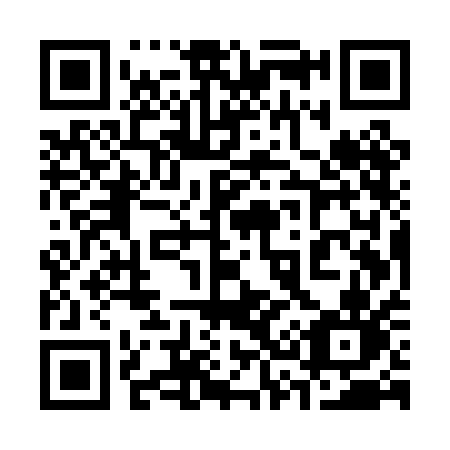 QR code for 335 PAN