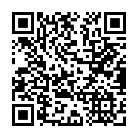QR code for 335 VGO