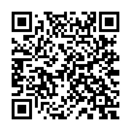 QR code for 335 XBG
