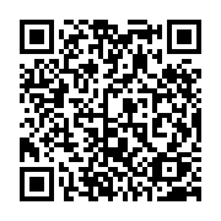 QR code for 335 XCP