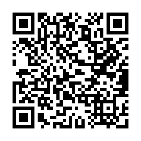 QR code for 335 YNZ