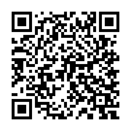 QR code for plate 335 5LR