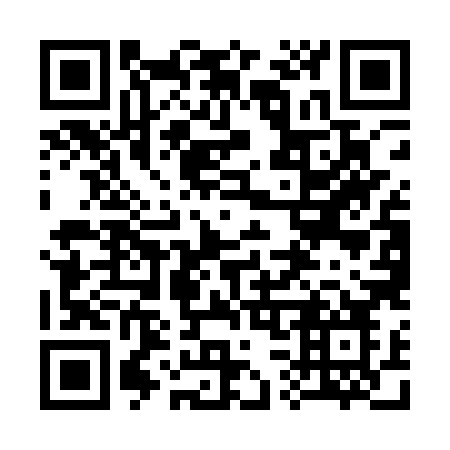 QR code for 335AXO