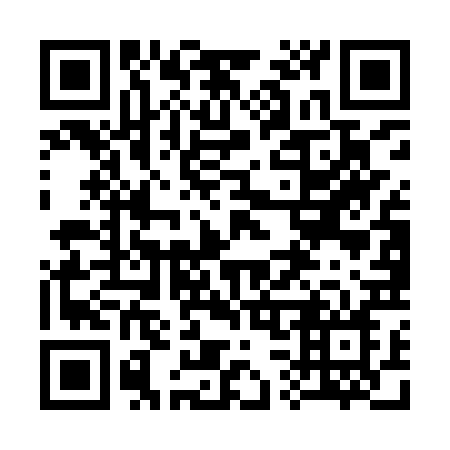 QR code for plate 335 IRN
