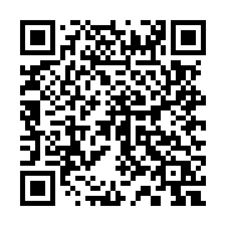 QR code for 335MVP