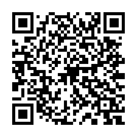 QR code for plate 335 TVR