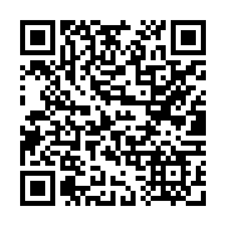 QR code for 336ZVO
