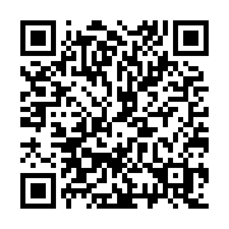 QR code for plate 337 XCH
