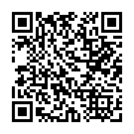 QR code for plate 338 6DC