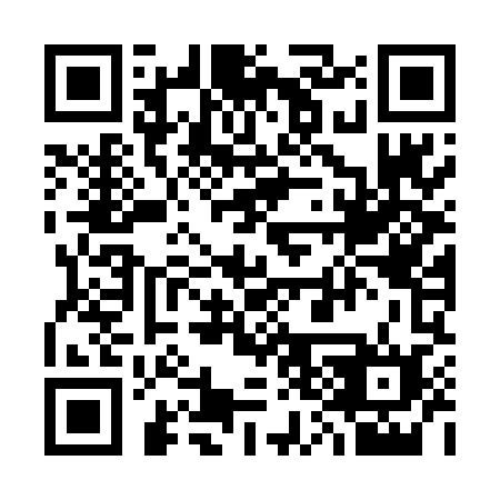 QR code for 338DML