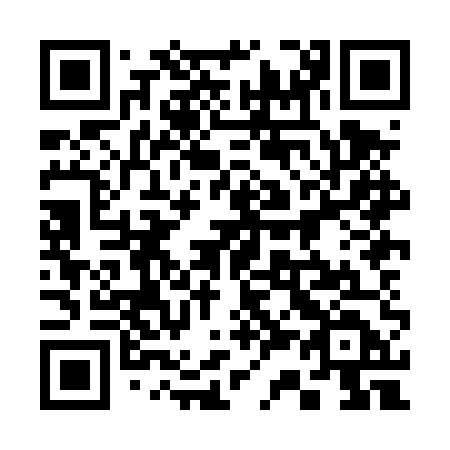 QR code for 338DUD