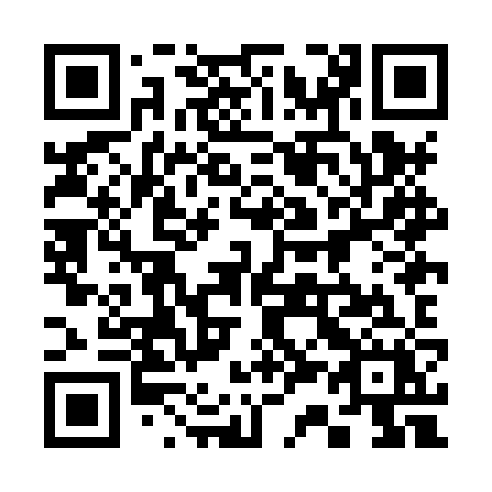 QR code for plate 338 HZX