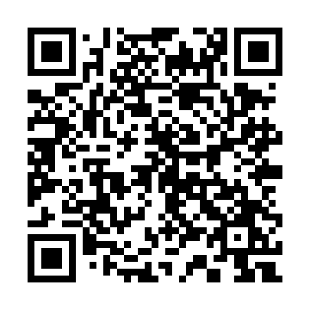 QR code for plate 338 TDO