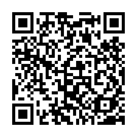 QR code for 339 DII