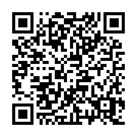 QR code for 339 IXV
