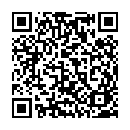 QR code for 339 PUC