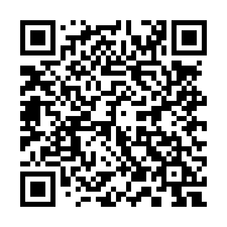 QR code for plate 355 LVE