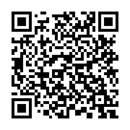 QR code for 3638SM